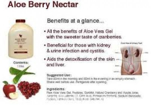 Forever Aloe Berry Nacter